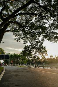 BIB: 
                            <button type="button" onclick="openModal(26555179)" class="btn btn-primary btn-sm float-right btn-popup" data-toggle="modal" data-target=".modal-high-quality">
                        <i class="fas fa-shopping-cart"></i> Add to Cart
                    </button>
                                            <button type="button" onclick="isThisMe(26555179, true)" class="btn btn-success btn-sm float-right btn-popup btn-isme hidden" data-toggle="tooltip" data-placement="bottom" title="นี่คือรูปของคุณใช่ไหม คลิกที่นี่เพื่อเอาเข้าอัลบั้ม">
                        <i class="fas fa-plus"></i> Add to album
                    </button>
                    <button type="button" onclick="isThisMe(26555179, false)" class="btn btn-warning btn-sm float-right btn-popup btn-isnotme hidden">
                        <i class="fas fa-ban"></i> Remove from album
                    </button>